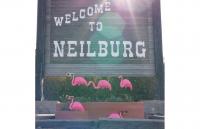 Flamingos land in Neilburg for inclusive playground fundraiser