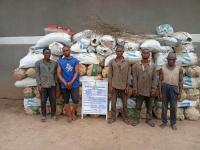 NDLEA Destroys 7.5 Tonnes Of Cannabis In Ondo Forest, Arrests Five Suspects