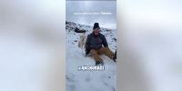 MIRACLE RESCUE: Dog REUNITED with family after Alaska avalanche