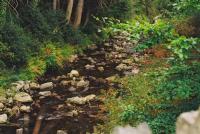Despite recent rain, drought has reached all areas of Maine