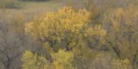 Fall temperatures trending warmer in North Dakota, meteorologist says overnight lows show biggest climb
