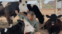 'They deserve this': Southern Utah animal sanctuary hoping to move to forever home