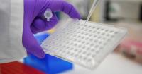 Singapore to step up surveillance of three infectious diseases from Oct 31