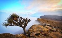 Winter charter flights bring European tourists