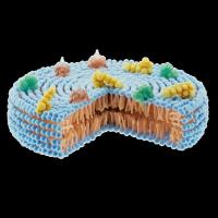 Diasome’s HDV-Insulin for T1D Finalizing Phase III Plans After Promising Data