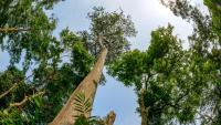 Forgotten weather records reveal a dramatic rise in extreme heat