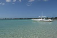 Private Boat Charter vs Group Tour in the Bahamas: Which Suits Your Trip?