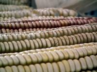 Mexico on the Verge of Leaving the Hunger Map