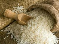 Rice sector exploring opportunities to conserve irrigation water