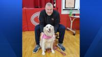 'His absence leaves an irreplaceable void': Goshen Local Schools mourns death of longtime teacher