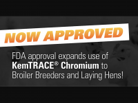 FDA approves use of KemTRACE Chromium for broiler breeders, laying hens