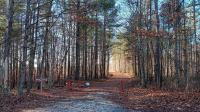 Between Roanoke And Richmond Is Virginia's Largest State Forest And It's A Scenic Fishing And Boating Paradise