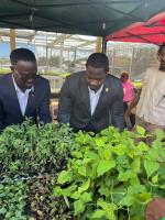 Government distributes record 30,000 seedlings to boost local food production