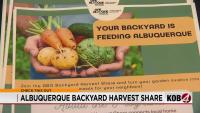 Albuquerque launches backyard harvest share program