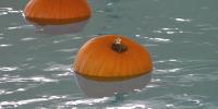 Rapid City Families Take the Plunge at 4th Annual Floating Pumpkin Patch