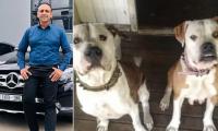 High-flying real estate agent Ajay Malik mauled by two dogs while jogging in Brisbane park