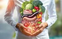 Was human gut healthier in ancient times?