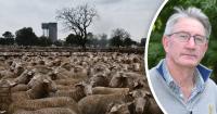 Government 'missing the issue' behind calls to delay eID, farmers warn