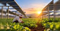 India should harvest sunlight twice