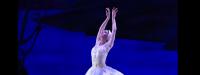 American Repertory Ballet presents "Swan Lake"