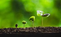 Crypto Ends Three-Quarter Losing Streak With 39% Q3 Gain: Report