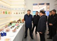 Amid health rumors, Chinese President Xi Jinping inspects Inner Mongolia