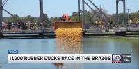 11,000 rubber ducks race in Brazos River, raising money for Dolly Parton’s charity
