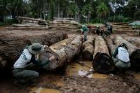 Reuters World faces nature reality check at UN biodiversity conference