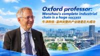 Oxford professor: Wenzhou's complete industrial chain is a huge success
