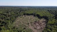 Amazon deforestation drops to lowest level since 1988 as Brazil election looms