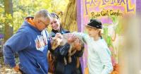 Putting in some cuddle time with goats at festival in Ohio