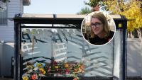 Kyle Whorrall homicide: Auckland trial begins for teens accused of murdering US PhD student at Meadowbank bus stop