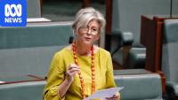 'This wasn't an accident': Helen Haines hit by car outside electorate office