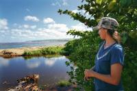 Hawaii’s plantation legacy leaves lasting risks of flooding and fires