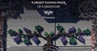 Moldova achieves GUINNESS WORLD RECORDS™ title as 493 people form world's largest human image of a grapevine