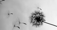 Sunday Science: The Evolution of the Human Brain Set It Up for Failure