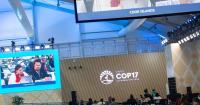 What Is COP17? UN Biodiversity Summit Begins in Armenia as Nations Face Key Questions