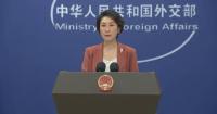 Xi's proposals offer practical guidance for addressing hotspot issues in Africa: spokeswoman