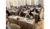 Environment Minister Participates in Consultative Meeting of African Environment…