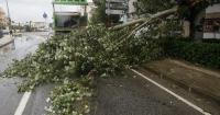 Storm Adam has left two people dead in Spain