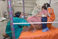 Regional webinar explored the integration of traditional, complementary and integrative medicine to strengthen primary health care