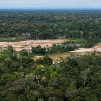 Criminal networks threaten the Amazon