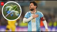 ‘Messi’s plant’: Scientists name newly discovered endangered Andean species after Argentina’s World Cup-winning icon