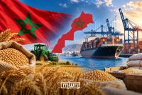 Morocco’s Food Security Needs More Than a Return to Normal Shipping