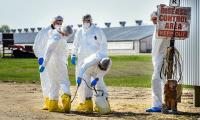 US records this year's first human case of highly transmissible bird flu in Washington state man