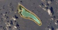Amelia Earhart Mystery: 'Plane Wreckage' on Nikumaroro Island Likely to Be Washed-Up Trees, Researchers Say