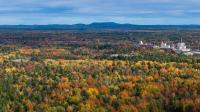 Maine’s forest acres are an essential dual economic engine