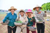How Jiayu County embedded technology into the vegetable supply chain, and reshaped farming in central China