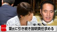 Japan's Government Under Scrutiny Over Tax Cuts and Ministerial Scandal