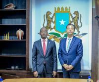 Somalia, Türkiye discuss cooperation on fisheries and blue economy